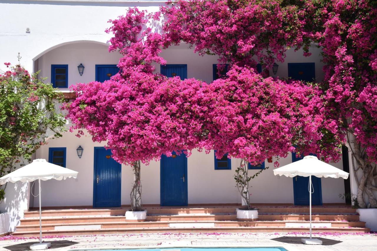 Boutique Hotel Tilos Mare Λιβάδια Εξωτερικό φωτογραφία